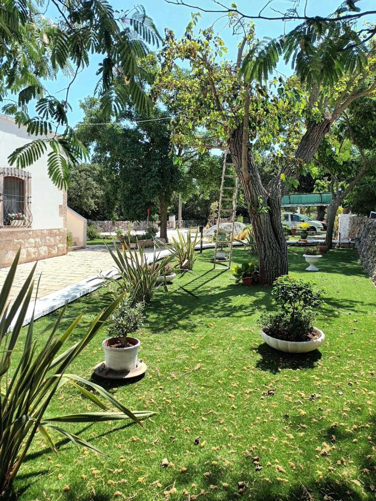 Trulli Allegretti * Noci