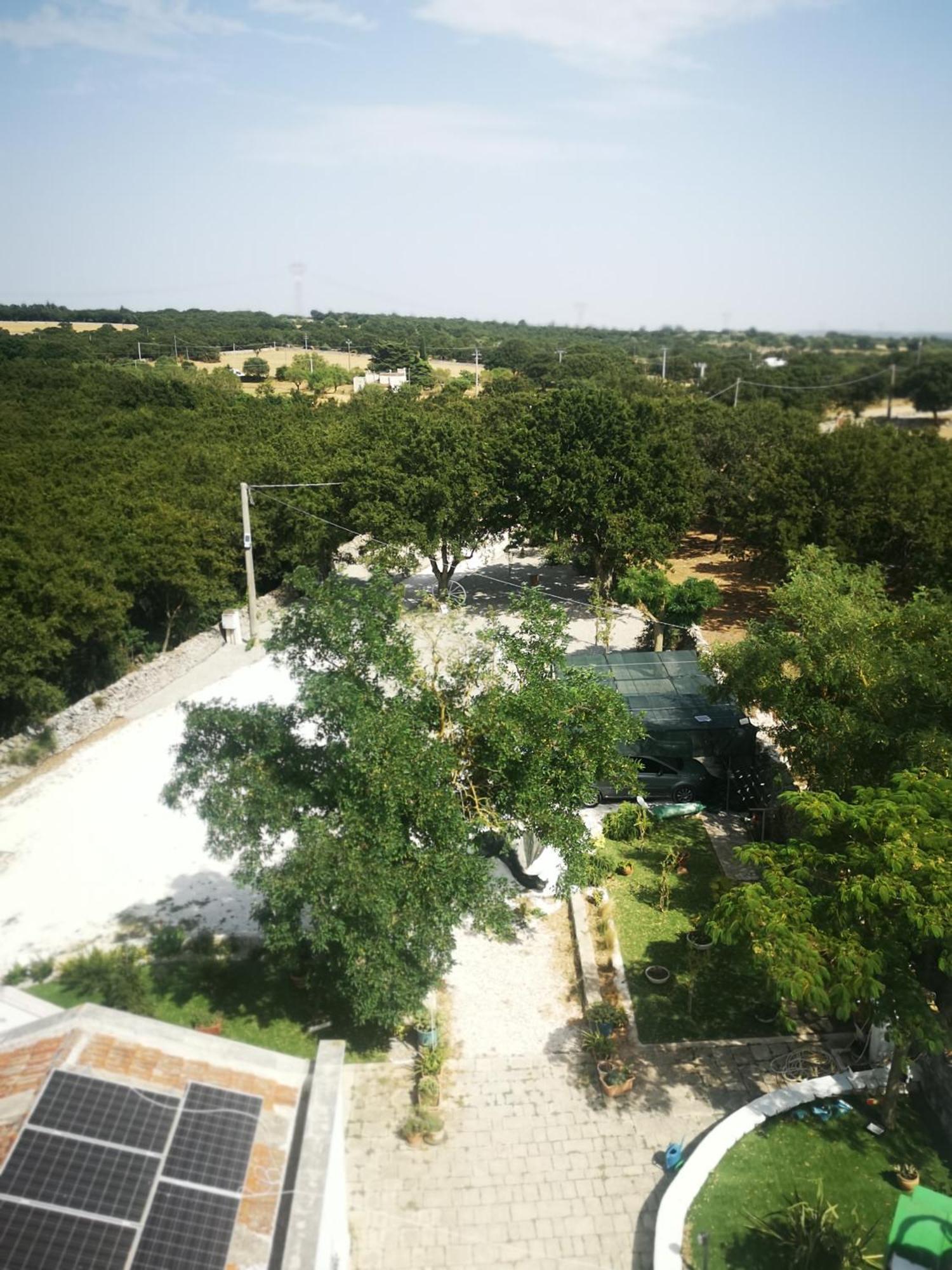 Trulli Allegretti Noci
